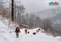 Propozycja widokowej pętli na Kozią Górę oraz Szyndzielnię w Beskidzie Śląskim! Opis szlaków i charakterystyka tras
