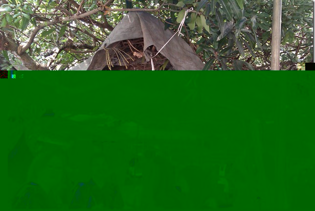 IMAG0279