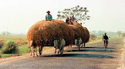 Main road to the south behind Bago