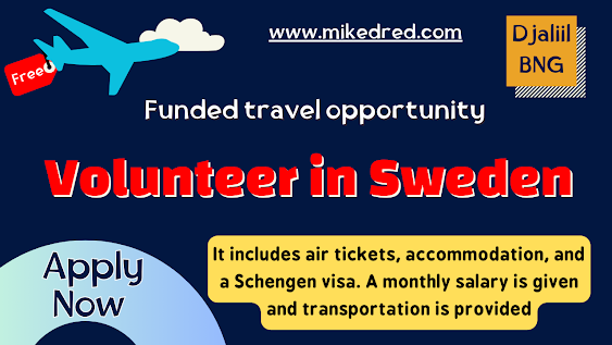 Volunteer opportunity in Sweden 2024 | Volunteering in Europe is fully funded