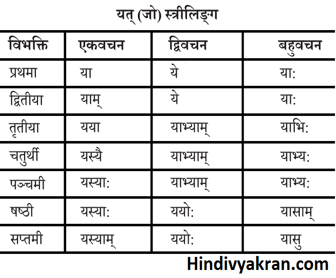 यत् शब्द रूप स्त्रीलिंग संस्कृत में – Yat Shabd Roop Striling In Sanskrit