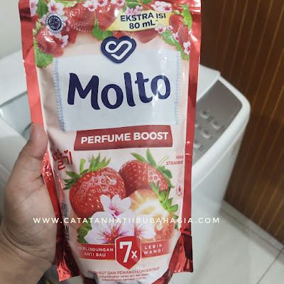 molto korean strawberry