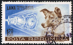 Ευχαριστούμε Laika!....