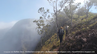 Trail near Kalalau Lookout