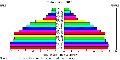  Indonesia  Demographics of Indonesia 