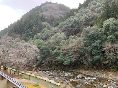 ベランダから見える景色