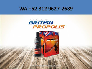 Jual British Propolis Tangerang Selatan, Agen British Propolis Tangerang Selatan, Distributor British Propolis Tangerang Selatan, Penjual British Propolis Tangerang Selatan, Toko Herbal British Propolis Tangerang Selatan, Yang Jual British Propolis Tangerang Selatan, Alamat, Penjual British Propolis Tangerang Selatan, Alamat Agen British Propolis Tangerang Selatan, Alamat Distributor British Propolis Tangerang Selatan, Stokis British Propolis Tangerang Selatan