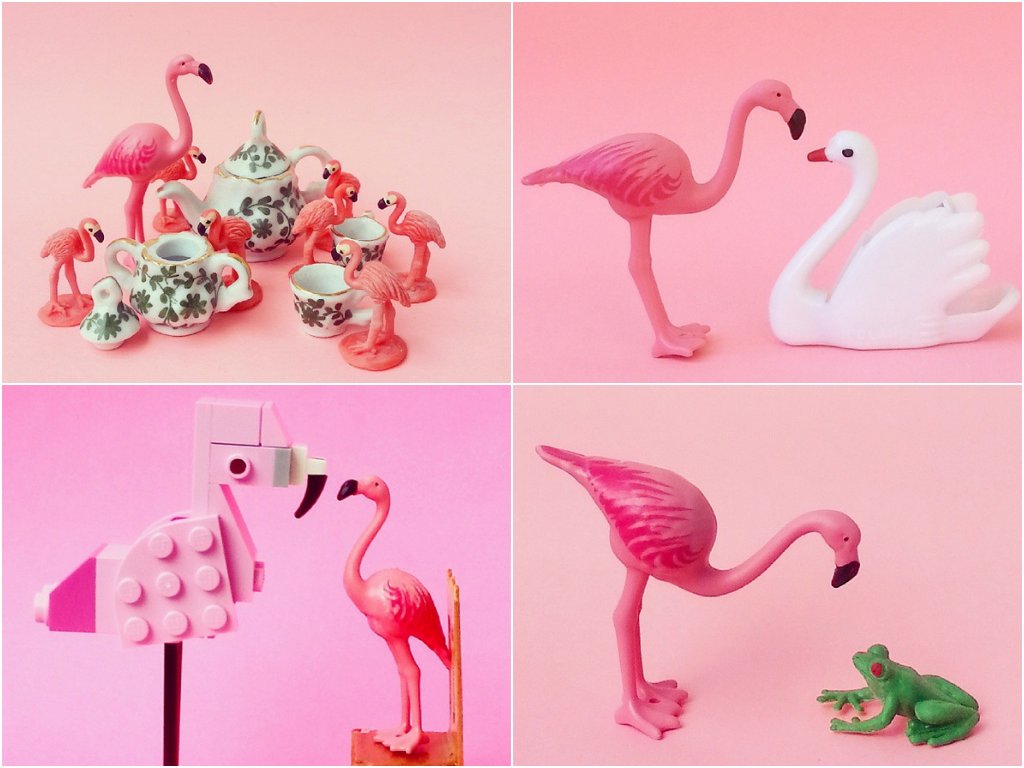 Instagram de Flamingo