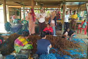 Dikunjungi AM Ali Gaffar, Petani Rumput Laut Langsung Jatuh Hati 