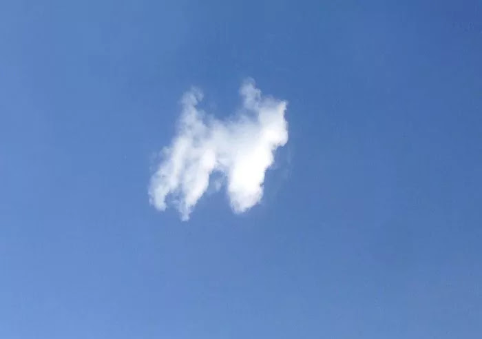 These Dog-Shaped Clouds Remind Us That Our Canine Friends Are A Gift Sent From Heaven