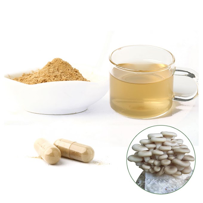 Oyster Mushroom Capsules in Chennai | Mushroom Capsules in Chennai | Mushroom Capsules | MycoNutra® Mushroom Capsules 