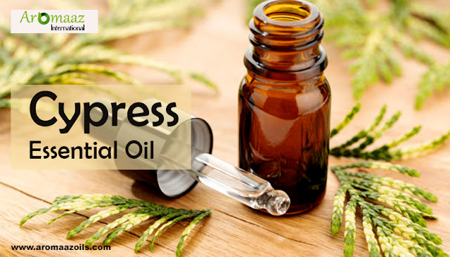 Cypress-Essential-Oils