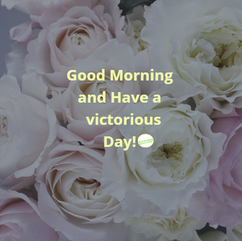 This image is all about good morning flower images free download