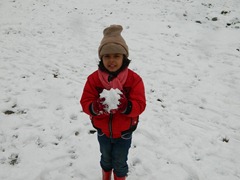 Picture 328