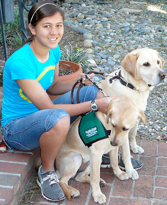 Devin San Jose with two yellow Lab puppies