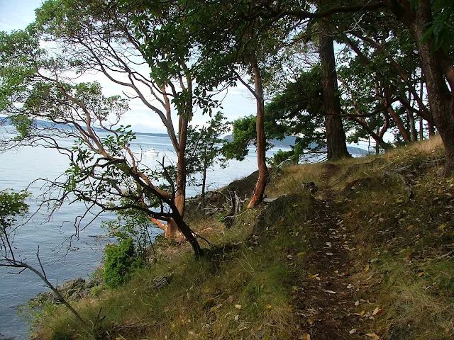 Jones Island hiking trail