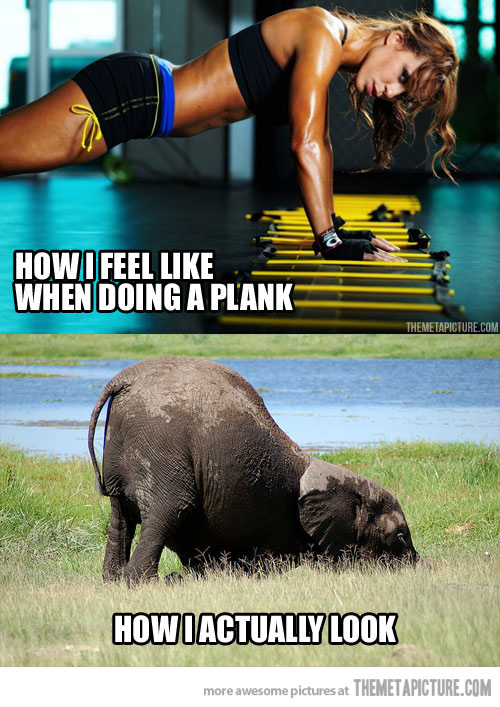 funny girl doing planks elephant