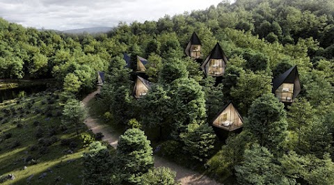 לגור בבתי עץ בסביבה מיוערת