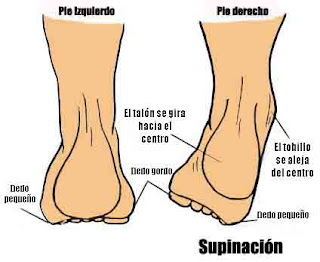 pisada supinador