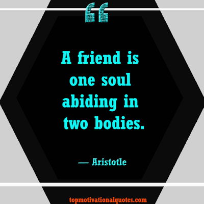 famous Aristotle friendship quote - a friend is one soul abiding in two bodies