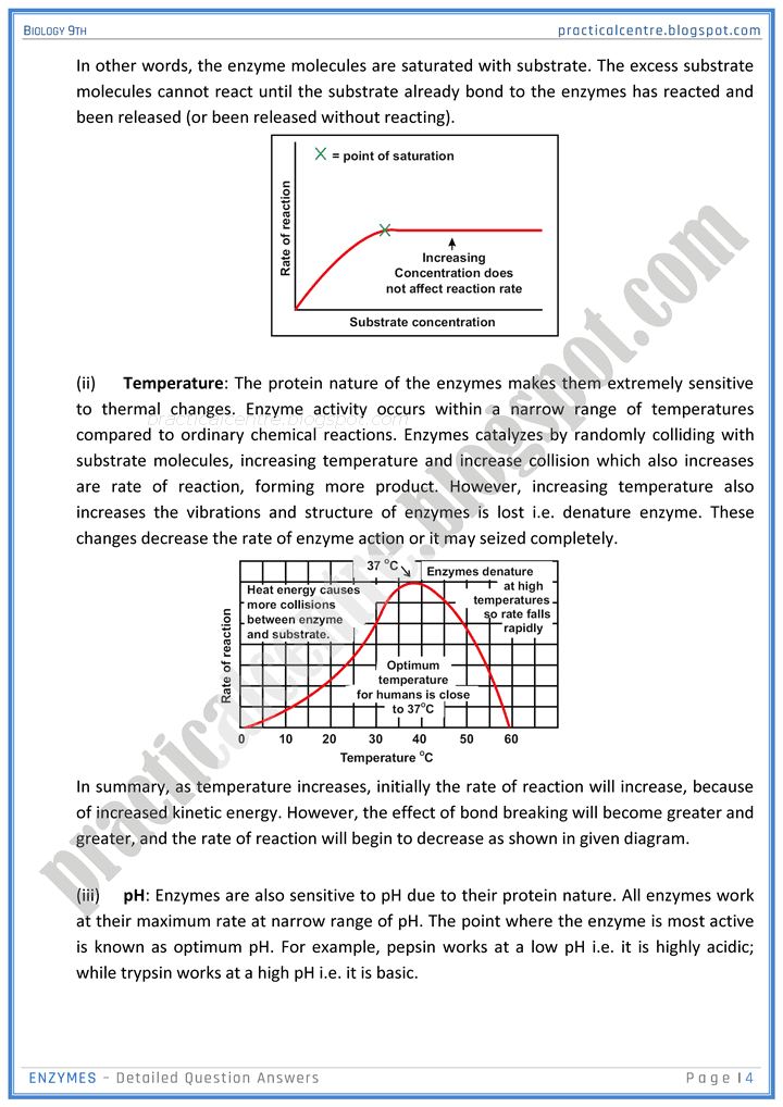 enzymes-detailed-question-answers-biology-9th-notes