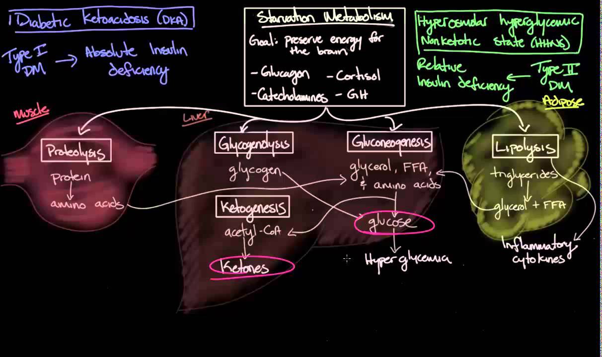 Complications of diabetes mellitus