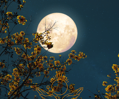 Découvrez ce rituel que certaines personnes font à la pleine lune