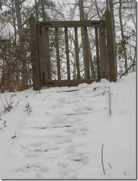 Snow Day 086