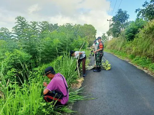 Babinsa Batukandik Gelar Aksi Tanam Pohon