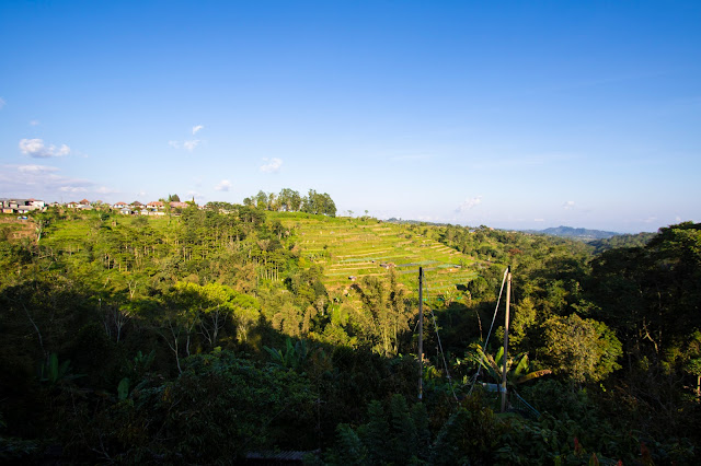 Caffè Luwang-Bali