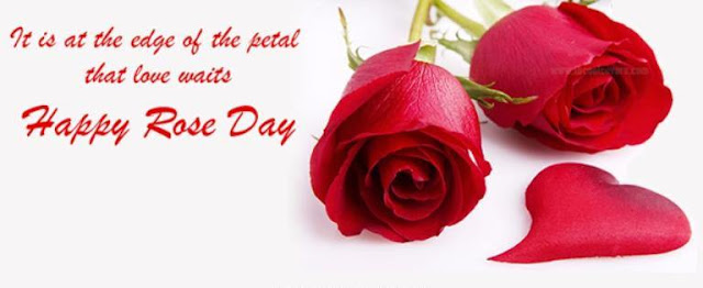 Happy Rose Day Images Happy Valentines Day