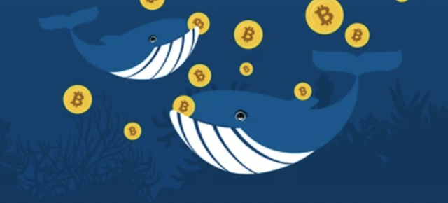 How Crypto Whales Influence the Crypto Marketplace