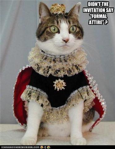 19+funny-pictures-cat-wears-formal-attire.jpg