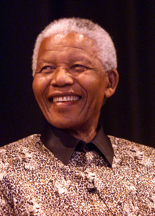Mandela Pleaded Guilty
