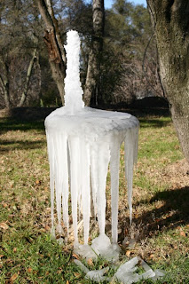 Bird Bath Ice Sculpture #1