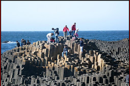 Richard Dawkins: Creationism at Giant's Causeway 'is intellectual baboonism'