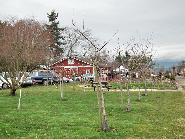 Red Barn, Terra Nova Rural Park - Richmond, Seedy Saturday event