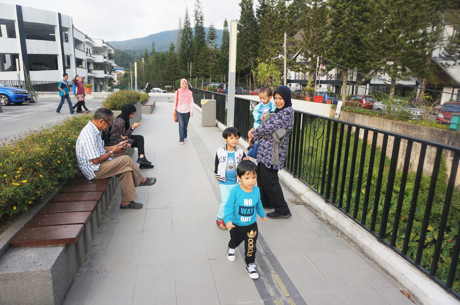 Sweet Escape To Cameron Highland With Familia│An Evening Walk At Tanah Rata