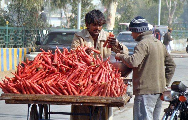 colors of pakistan