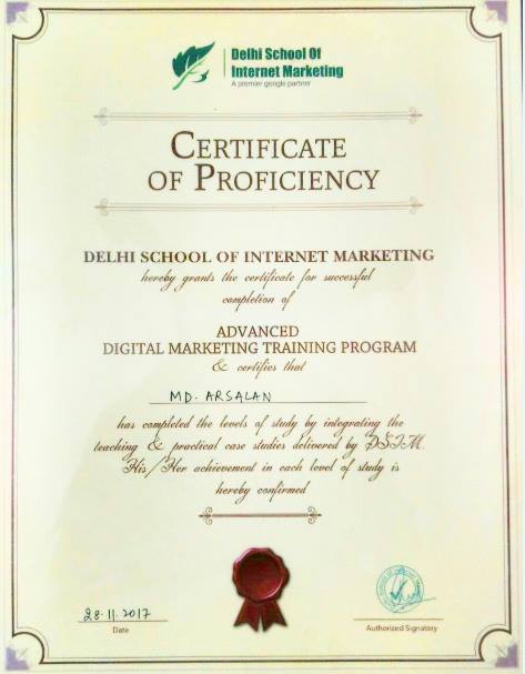 delhi school of internet marketing