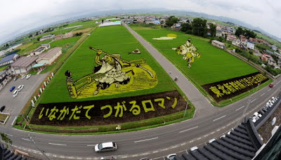 Japanese Rice Paddy Art 2010