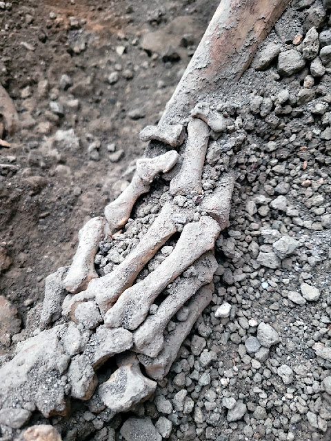 Νέα εντυπωσιακή ανακάλυψη στην αρχαία Πομπηία: Βρέθηκαν σκελετοί δύο ανδρών