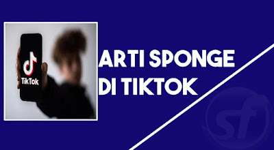 Arti Sponge di TikTok serta Maknanya yang Populer Dimedia sosial saat ini