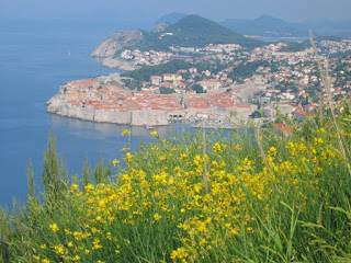 Overlooking Dubrovnik by Rachel Medanic