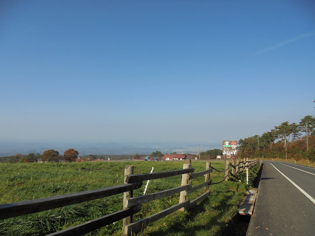 大山牧場の放牧地の風景