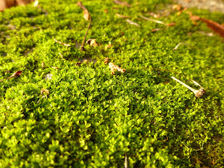 Moss Fremont Stair Project