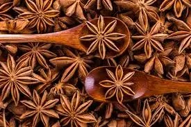 فوائد اليانسون النجمي |Star anise|
