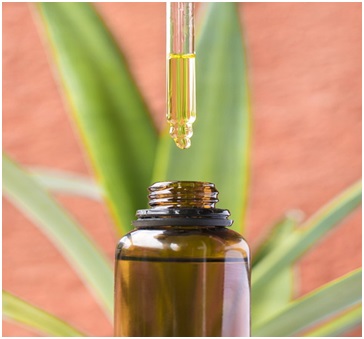 CBD Oil Tincture: What's That All About?