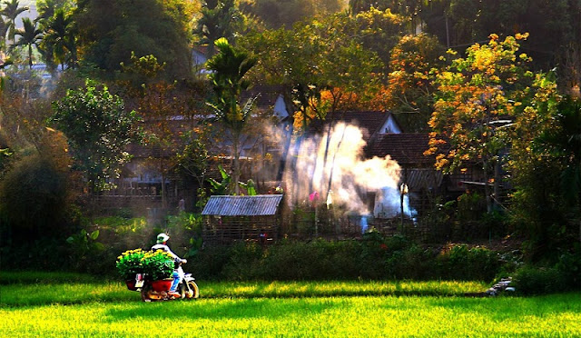 Impressive Moments Of Spring Vietnam 5