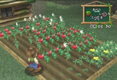 Download Harvest Moon a Wonderful Life for PC